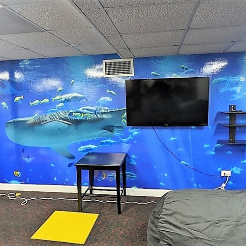 Wall Graphics
